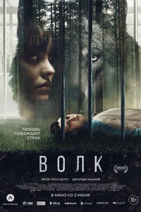 Волк (2021) — смотреть онлайн бесплатно