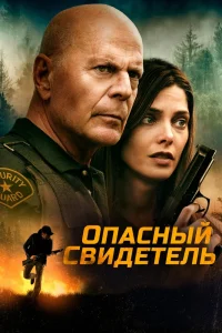 Опасный свидетель (2022) — смотреть онлайн бесплатно