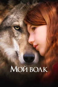 Мой волк (2021) — смотреть онлайн бесплатно