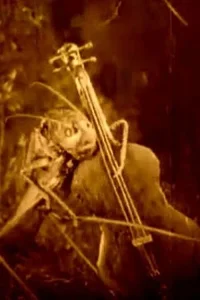 Веселые сценки из жизни животных (1912) — смотреть онлайн бесплатно