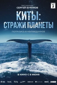Киты: Стражи планеты (2023) — смотреть онлайн бесплатно