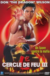 Огненное кольцо 3: Удар льва (1994) — смотреть онлайн бесплатно